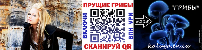 Псилоцибиновые грибы Psilocybine cubensis blacksprut рабочий сайт Судогда купить закладку